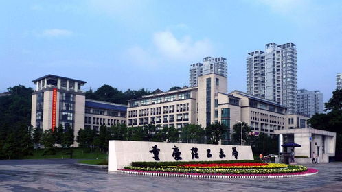 重庆财经学院产业园校区怎么样(重庆财经学院以后发展)