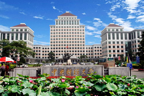 中央财经大学泫雅教授怎么样(中央财经大学 奚睿哲)