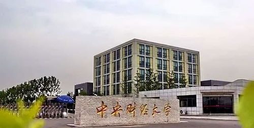 中央财经大学数字经济专业怎么样(中央财经大学数字经济融合创新发展中心)