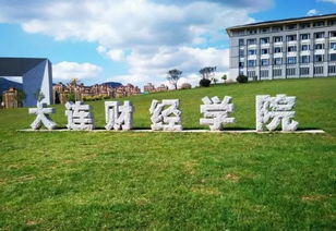 辽宁大学东北财经大学会计怎么选(辽宁大学和东北财经大学会计专硕哪个好考)