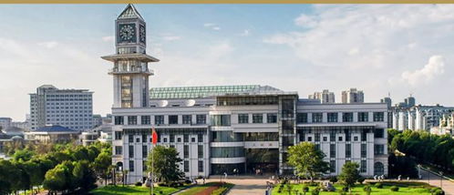 中南财经政法大学视觉传媒怎么样(中南财经政法大学视觉传达设计中外合作办学)