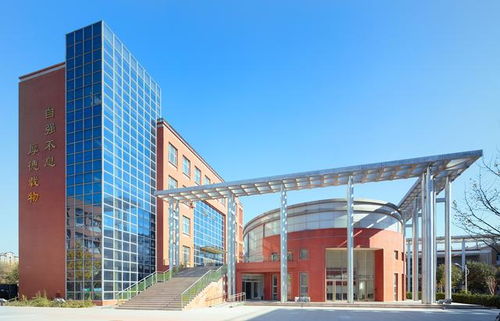 江西财经大学四级不过会怎么样(江西财经大学四级考试时间)